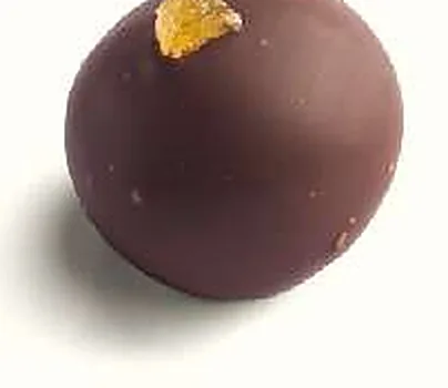 Figue Gingembre : figue séchée fourrée, ganache gingembre, enrobée de chocolat