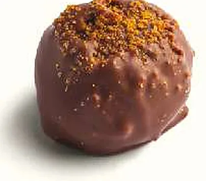 Figue Lotus : figue séchée fourrée, praliné lotus, enrobée de chocolat