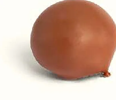 Figue Fruit de la Passion : figue séchée fourrée, ganache passion, enrobée de chocolat
