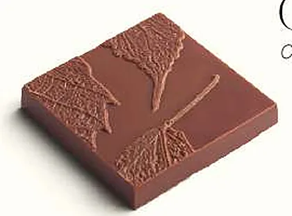 Chocolat Grands Crus, chocolat au lait et noir
