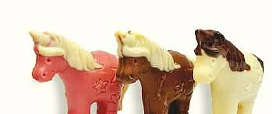 TIN Licornes, TIN Chocolaty Rabat